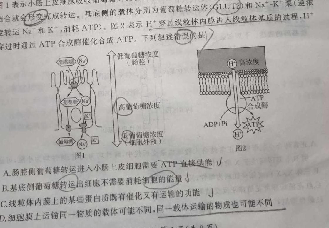 山西省2024年中考总复习预测模拟卷(六)6生物学部分