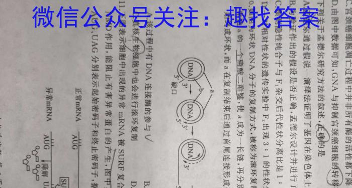 九师联盟2025届高三9月开学考(江西)生物学试题答案