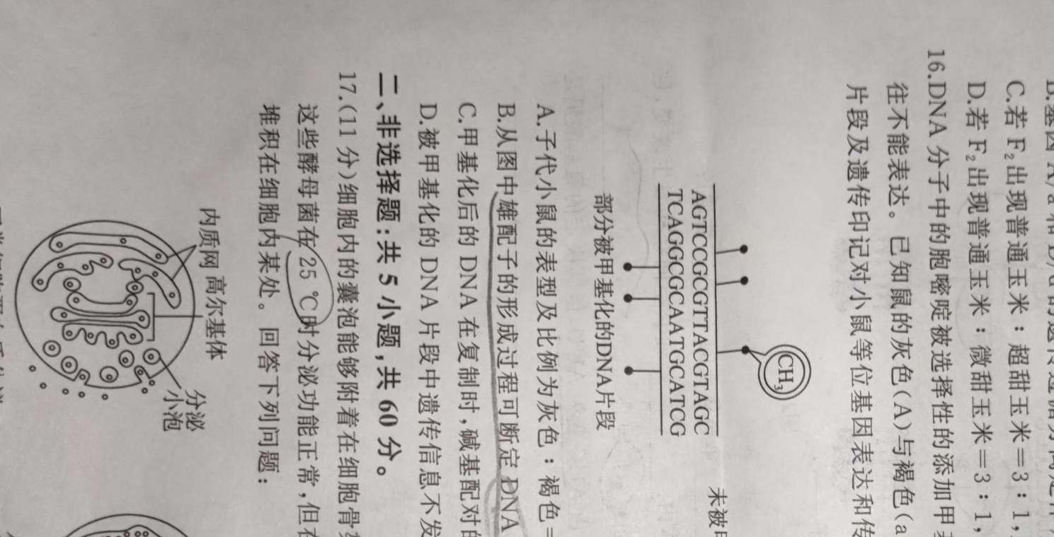 2023学年顺德区普通高中高三教学质量检测（二）生物学部分