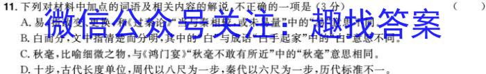 智慧之海·思维导航 2024年安徽省九年级学业挑战赛(两个倒三角)语文