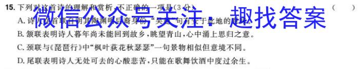 安徽省2024-2025学年九年级上学期教学质量调研(9月)语文