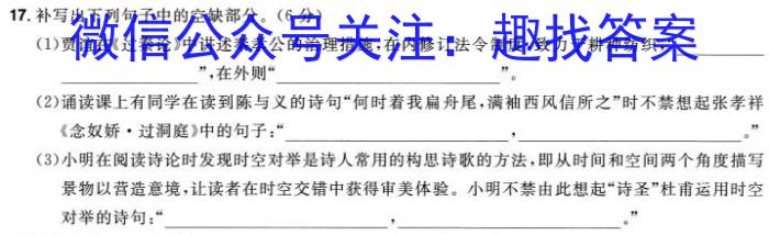 湖南天壹名校联盟·2024年上学期高二5月大联考语文