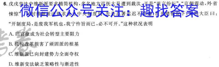 陕西省2024年中考总复习专题训练 SX(一)历史试卷答案