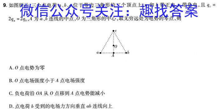 海南省2023-2024学年高三学业水平诊断（四）物理试卷答案