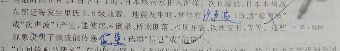 [今日更新]2024届河北省高三12月联考(24-236C).物理试卷答案