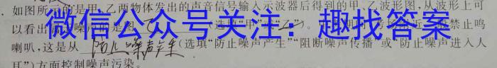 万唯中考 2024年安徽省初中学业水平考试 定心卷物理`