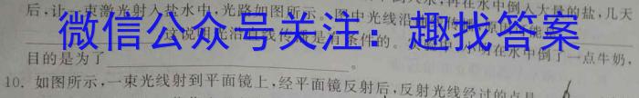 陕西省西安市长安区某校2024-2025学年第一学期八年级收心考物理试卷答案