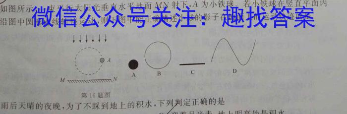 1号卷 A10联盟2024年高考原创信息卷(五)5物理试题答案