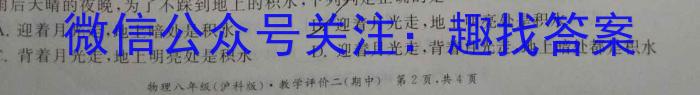 安师联盟·安徽省2024年中考仿真极品试卷（四）物理试题答案