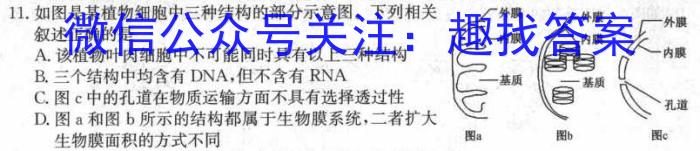 衡水金卷先享题月考卷2023-2024学年度下学期高二年级二调考试生物学试题答案