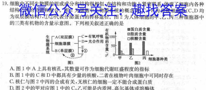 泸州市高2021级第三次教学质量诊断性考试生物学试题答案