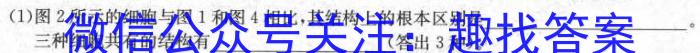 内蒙古2023-2024学年度高一卞学期十校联考试题(24-541A)生物学试题答案