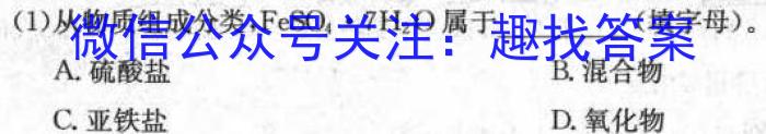 32023-2024学年山东省高一模拟选科走班调考(24-197A)化学试题