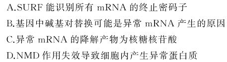 黑龙江省齐齐哈尔市2023-2024学年第二学期高一期末考试生物