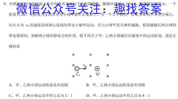 卓育云·2023-2024中考学科素养自主测评卷（一）物理试卷答案