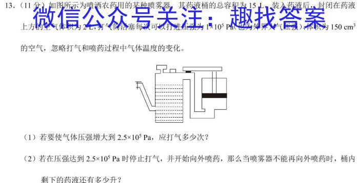 2024年陕西省初中学业水平考试 YJ③物理试卷答案