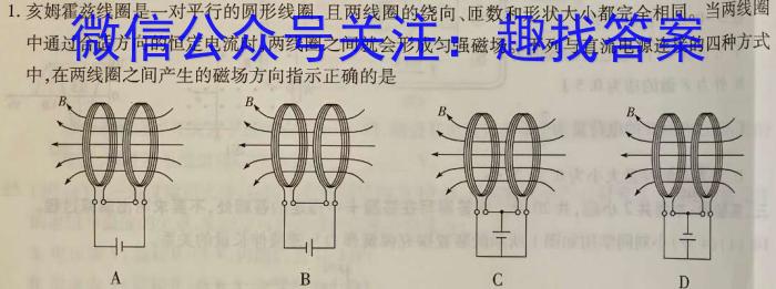 湖南省邵阳市2024届高三上学期期末考试物理`