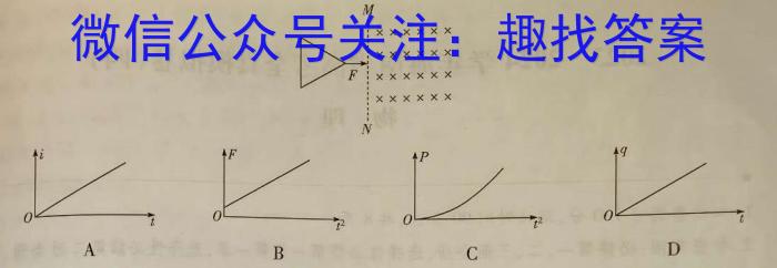 2024年河北省初中毕业升学摸底考试(CZ107c)物理试卷答案