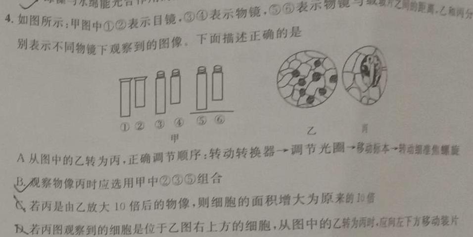 黄冈八模 2024届高三模拟测试卷(四)4生物学部分