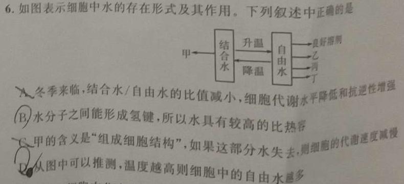 衡水金卷先享题·月考卷 2024-2025学年度上学期高三年级一调考试生物学部分