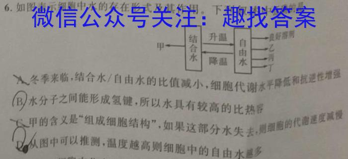 河南省2024~2025学年度高一上学期10月质量检测(25042A)生物学试题答案