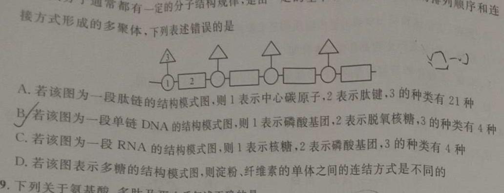 全国名校大联考 2023~2024学年高三第七次联考(月考)试卷生物学部分