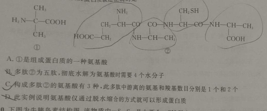 2024届景德镇市九年级第三次质检测试卷生物