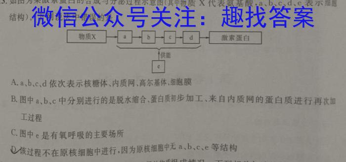 江西省2025届八年级（四）12.27生物学试题答案