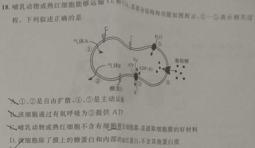 2024年陕西省初中学业水平考试全真模拟卷（八）生物