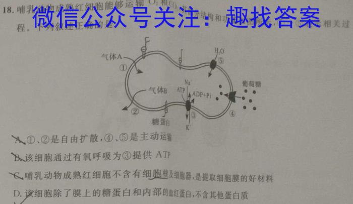 内蒙古2024届高三12月联考生物学试题答案