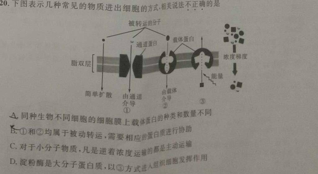 2023-2024学年辽宁省高一试卷5月联考(24-478A)生物学部分