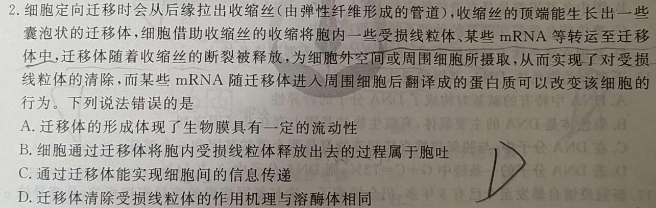 衡水大联考·陕西省2025届高三年级9月份联考生物学部分