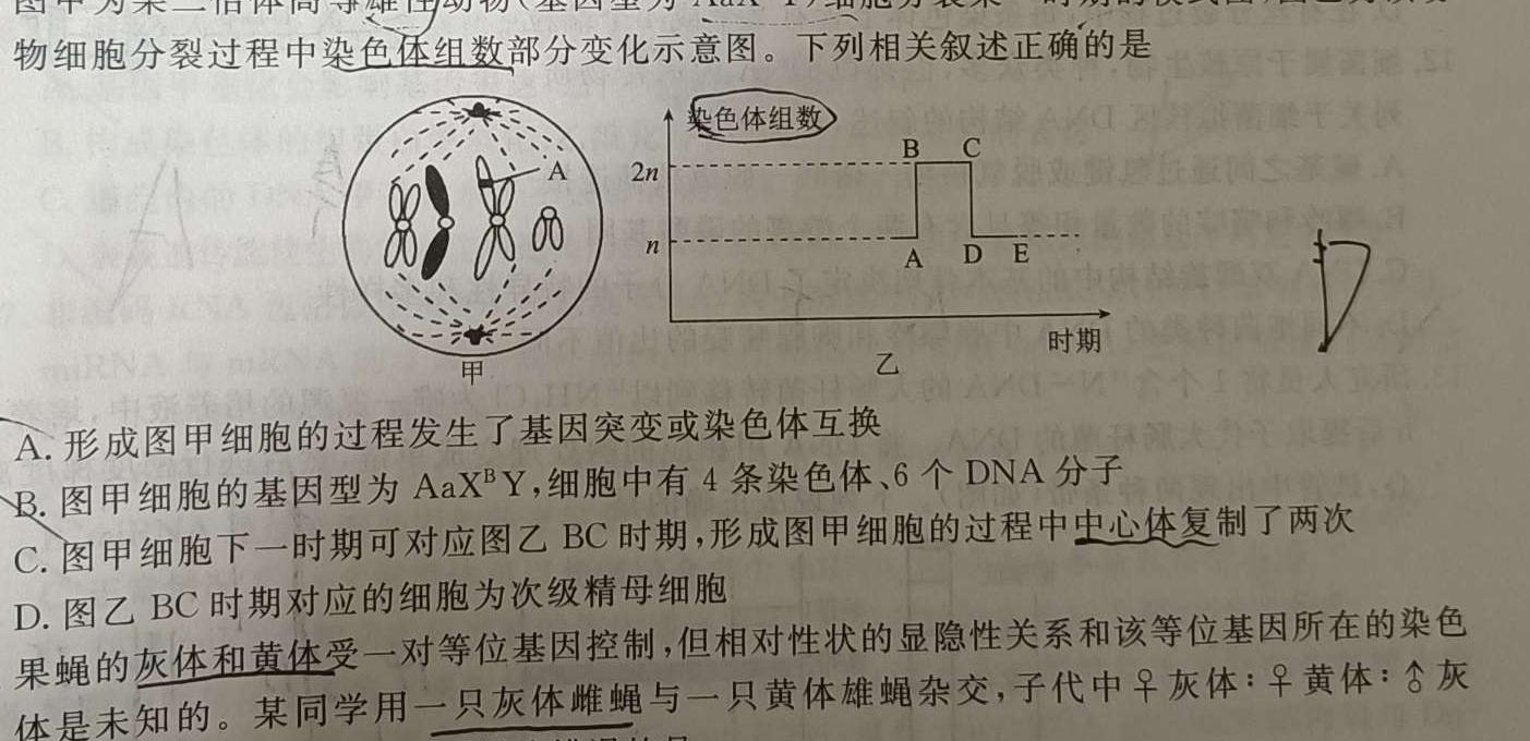 云南民族大学附属高级中学2024届高三联考卷(五)5(243448D)生物学部分