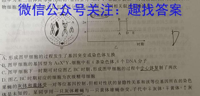 2024届衡水金卷先享题临考预测卷生物学试题答案