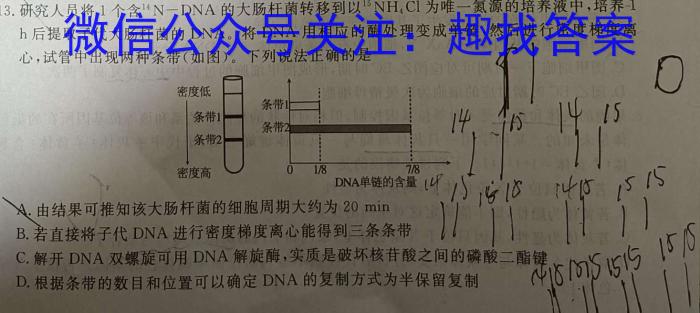 安徽省2024-2025学年第一学期高一期中考试(5158A)生物学试题答案