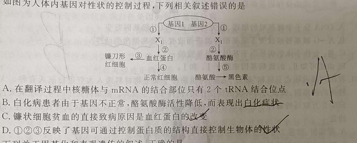 2024年陕西省初中学业水平考试 真题衍生(一)生物