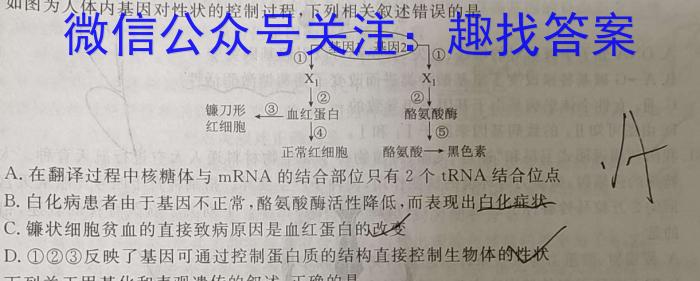 沧州市普通高中2024届高三年级教学质量监测生物学试题答案