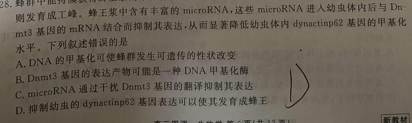 河北省2024-2025学年高二年级第一学期开学检测考试(25-17B)生物学部分