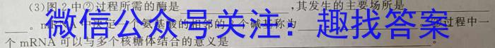 ［安徽中考］2024年安徽省初中学业水平考试生物学试题答案