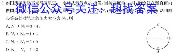 山西省介休市2024年第二学期九年级中考摸底考试物理试题答案