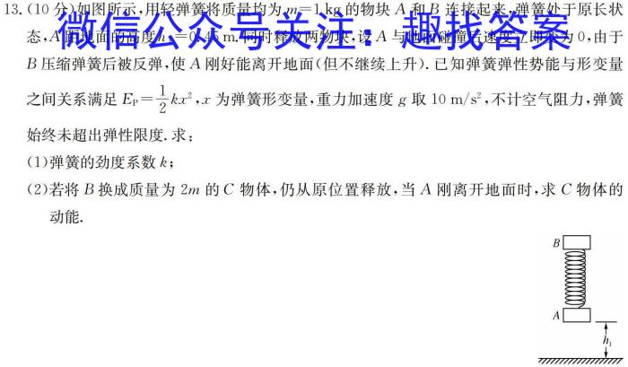 安徽寿春中学2024年春学期七年级第四次(期末)学科检测物理试卷答案