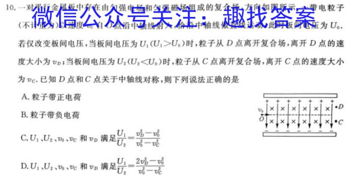 安徽省2023-2024学年度第二学期九年级作业辅导练习（二）物理试卷答案