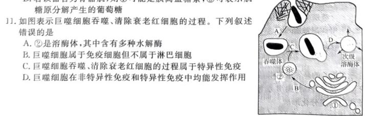 江西省抚州市2023-2024学年度第二学期高二年级7月期末考试生物学部分