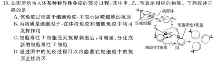 陕西省2023-2024学年度八年级第二学期阶段性学习效果评估生物学部分