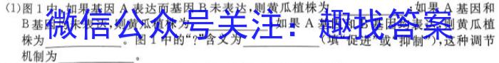 2024年普通高等学校招生全国统一考试样卷(三)3生物学试题答案