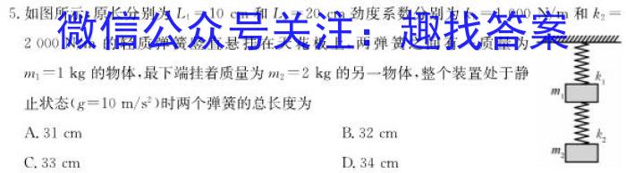 重庆市新高考金卷2024届全国Ⅱ卷适应卷(二)2物理