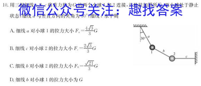 百师联盟·山东省2023-2024学年高二12月大联考物理试卷答案