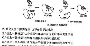 2023-2024学年第二学期福建省部分学校教学联盟高二年级期中质量检测生物学部分