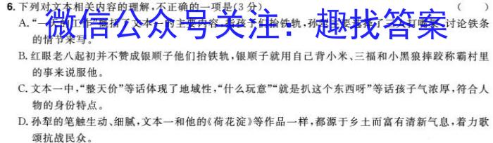 2024届湖北省高考适应性训练(一)/语文