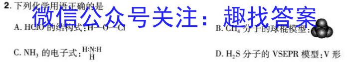 q河南省2023-2024学年度第一学期九年级期末测试卷化学